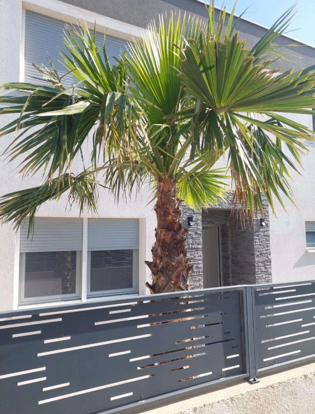 Villa Maris Nin Bagian luar foto